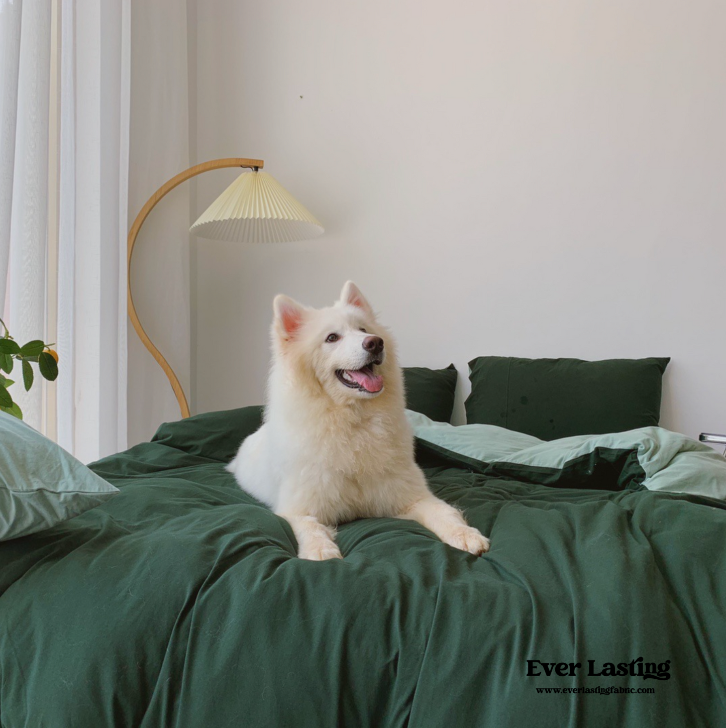 Duo Bedding Set / Blue