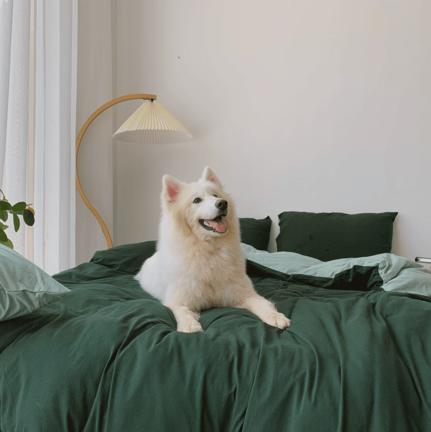 Duo Bedding Set / Blue
