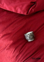 Elise° French Lace Jacquard Satin Bedding Set — Luxe Silky Cotton, Medium–Large Sizes (Ever Lasting)